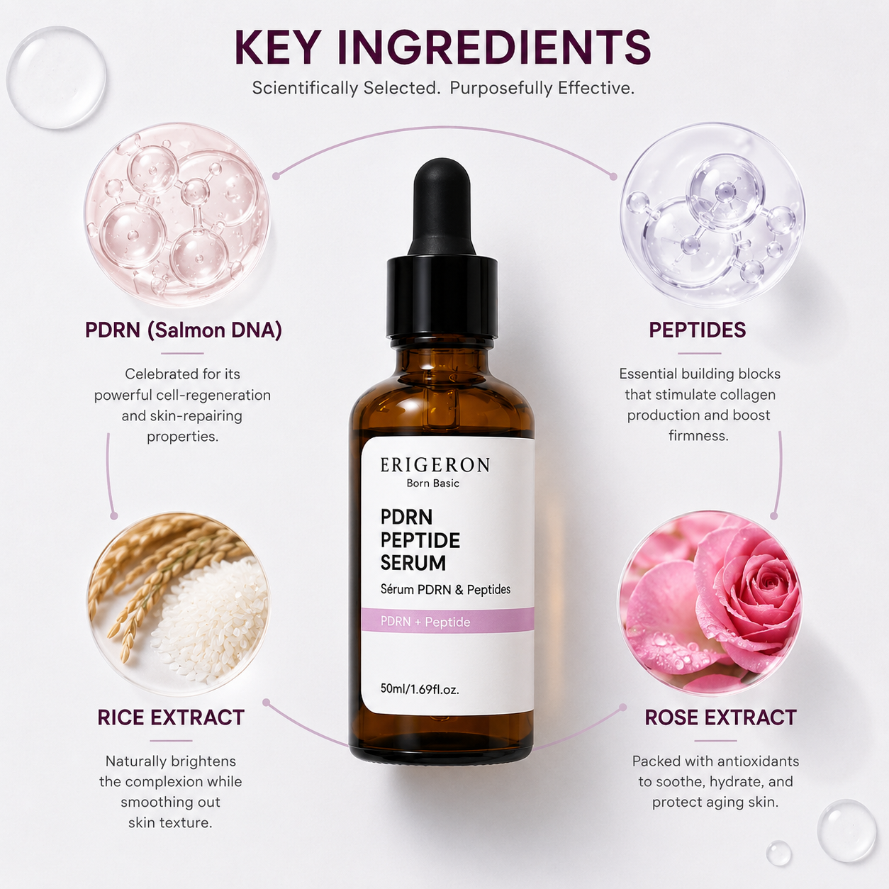 ODM Anti Aging Serum Skin Firming Ingredients for Tired Skin Recovery and Rejuvenation Base
