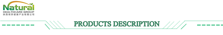 Lactobacillus Paracasei for Food Ingredients From China Factory Freeze-dried Probiotics Powder Original Manufacturer