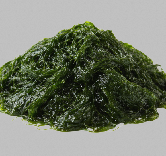 High Potency TW Maesaengi PDRN 100ppm Liquid Plant Extract Cosmetic Raw Material Marine Algae Derived Polynucleotide