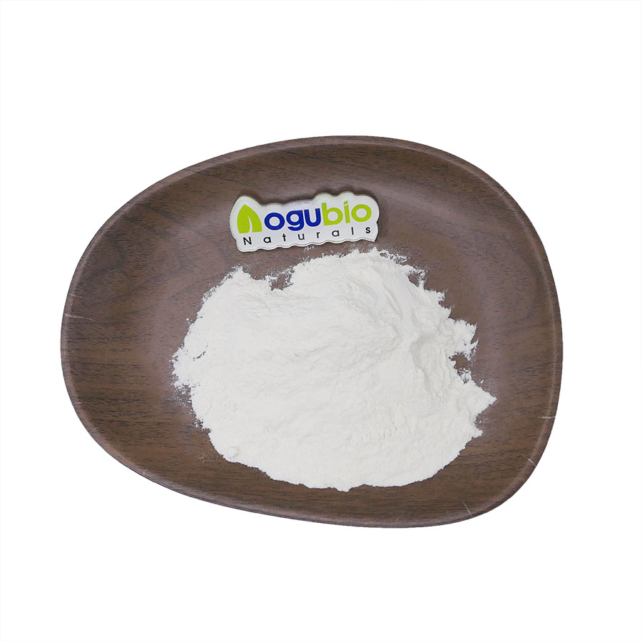 Bacillus Coagulans Food Ingredients From China Freeze-dried Probiotics Powder Original Manufacturer
