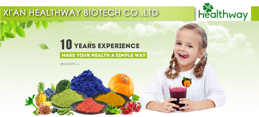 Dandelion Extract Powder Banner
