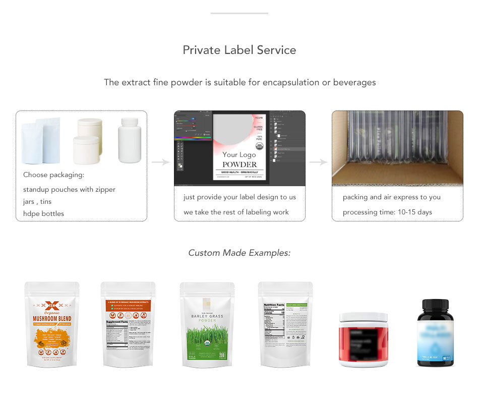 Services Overview
