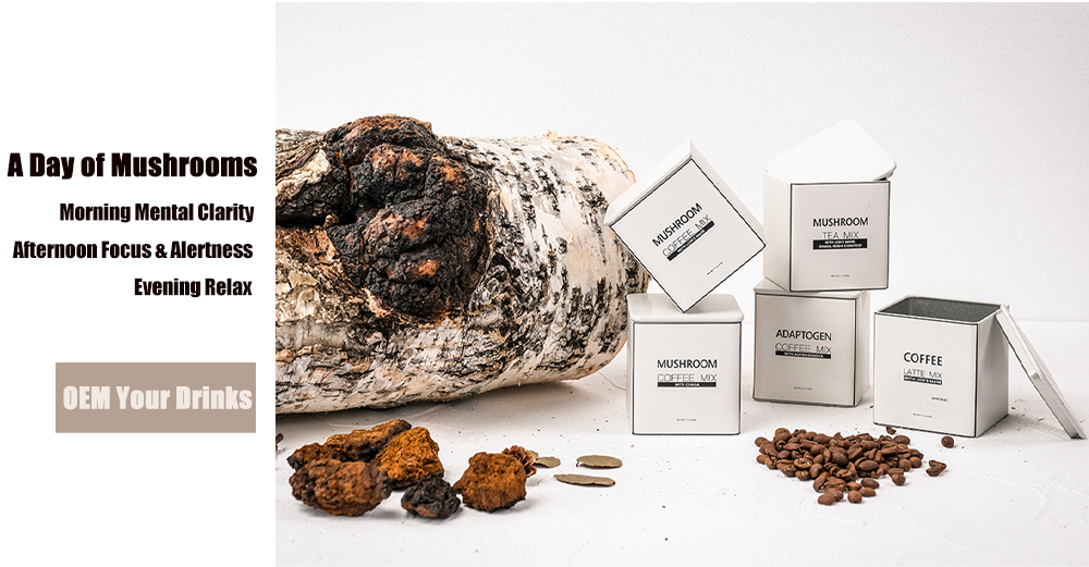 Organic Superfood 10 Mushrooms Banner
