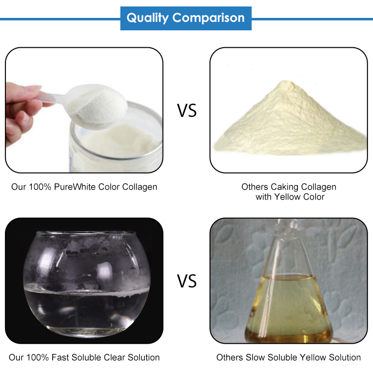 Laboratory Analysis and Testing