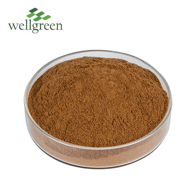 Dandelion Extract Production