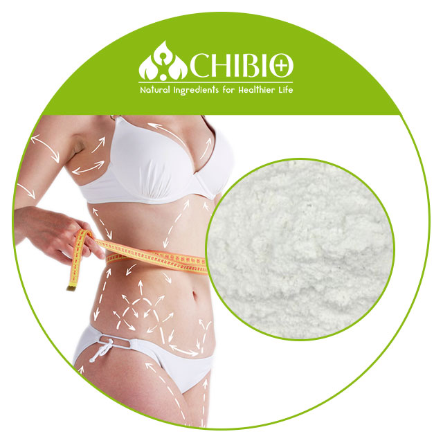 Non-toxic Hot Sale 97%-103% L- Carnitine Powder Pure Ingredients for Weight Management