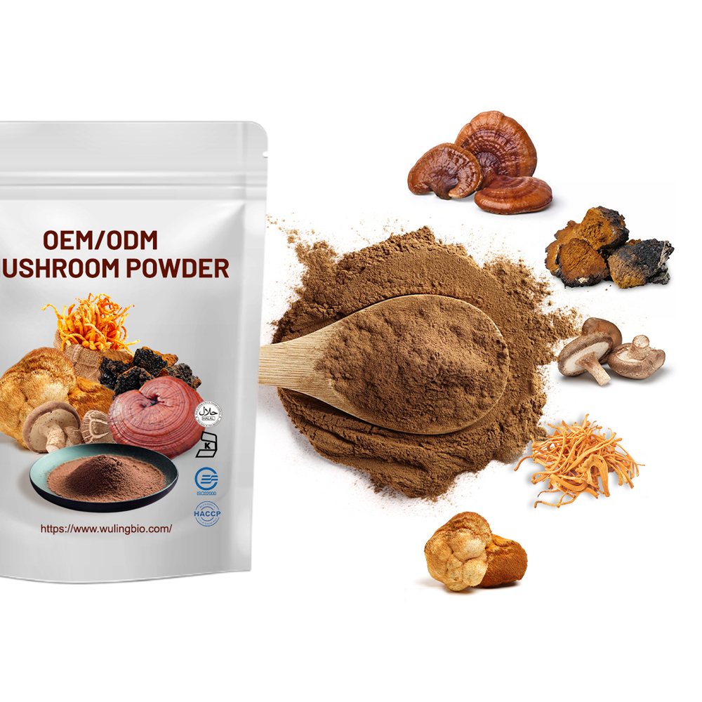Mushroom Powder Benefits