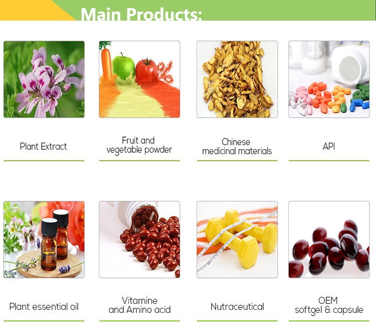 Natural Herbal Flos Inulae Extract Powder 10:1 Flos Inulae P.E