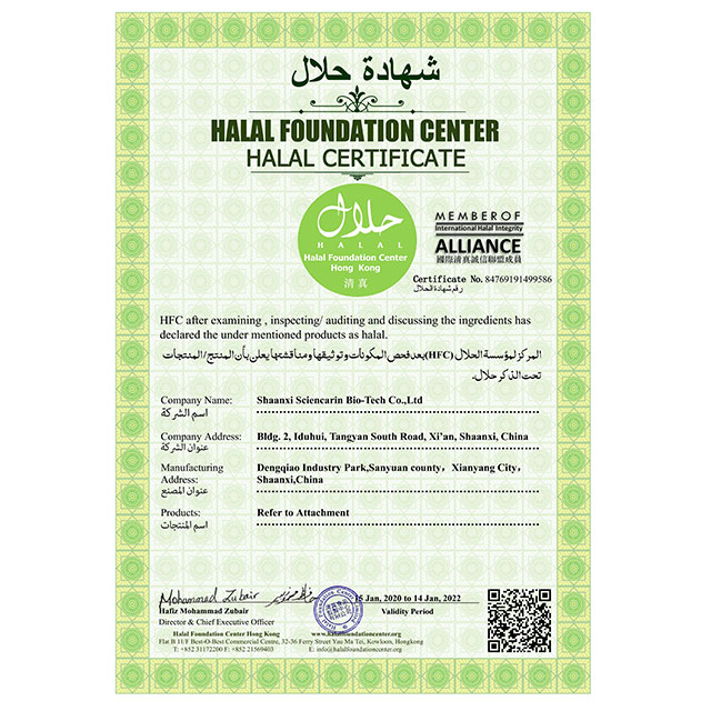 HALAL Approved Natural Herbal Ingredients Garlic Extract Powder Allicin
