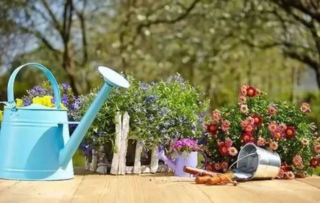 Floriculture