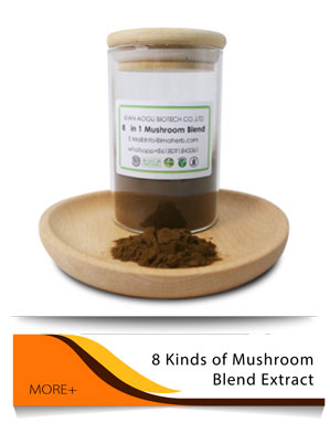Mushroom 1