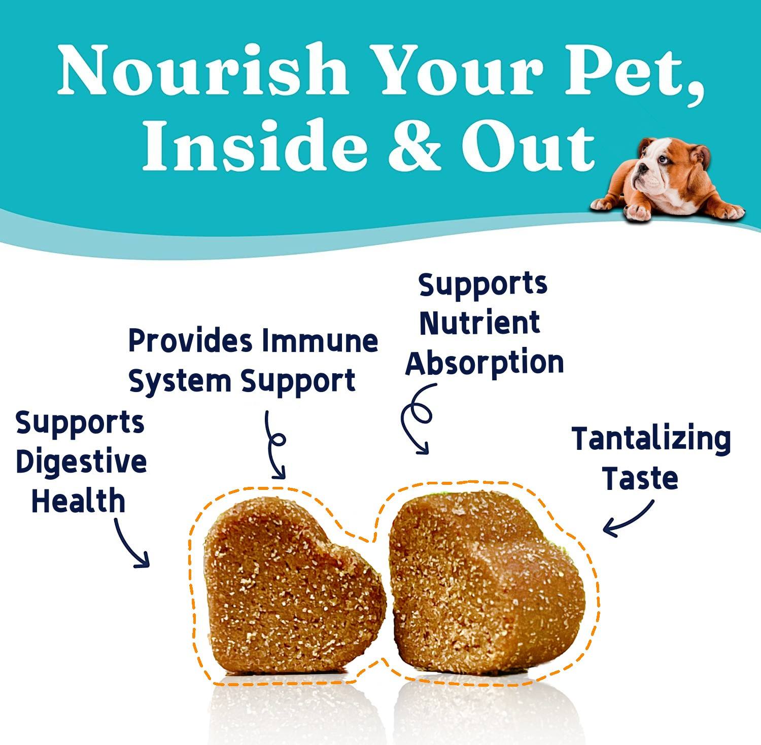 Factory Direct High Quality Customizable 300g 120 Count Pet Probiotic Supplement Supports Digestion Soft Chews