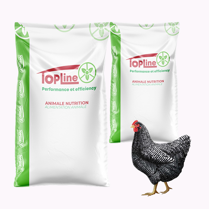 Feed Grade Amino Acids Fat Powder Ingredients Mixed Additive for Enhancing Animal Health Products