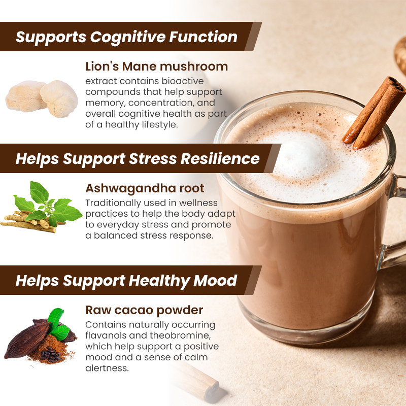Functional Mushroom Cacao Mix Powder Coconut Milk Ceylon Cinnamon Superfood Drink Mushroom Cacao Latte Powder
