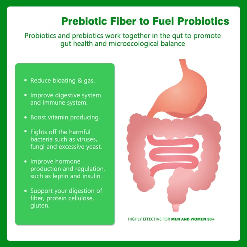 Probiotic Prebiotic Capsules Feature 4