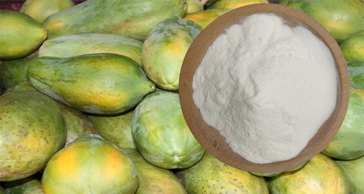 Papain Enzyme Product
