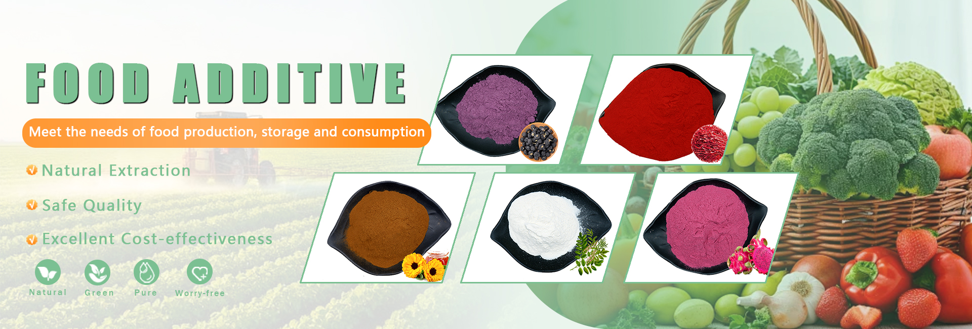 Lactobacillus Johnsonii Probiotic Powder Banner