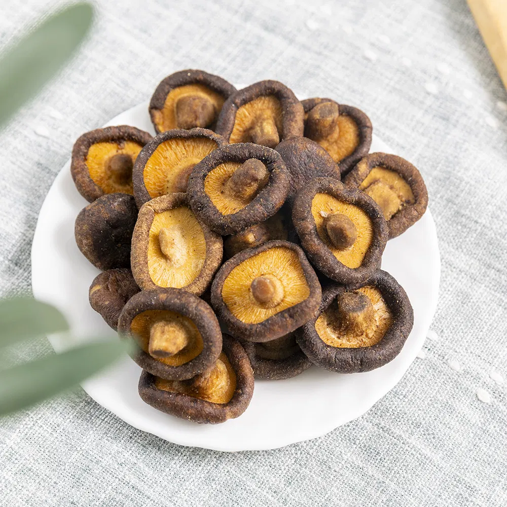 No Animal Ingredients Vegan Low-Temp Fried Shiitake Crisps
