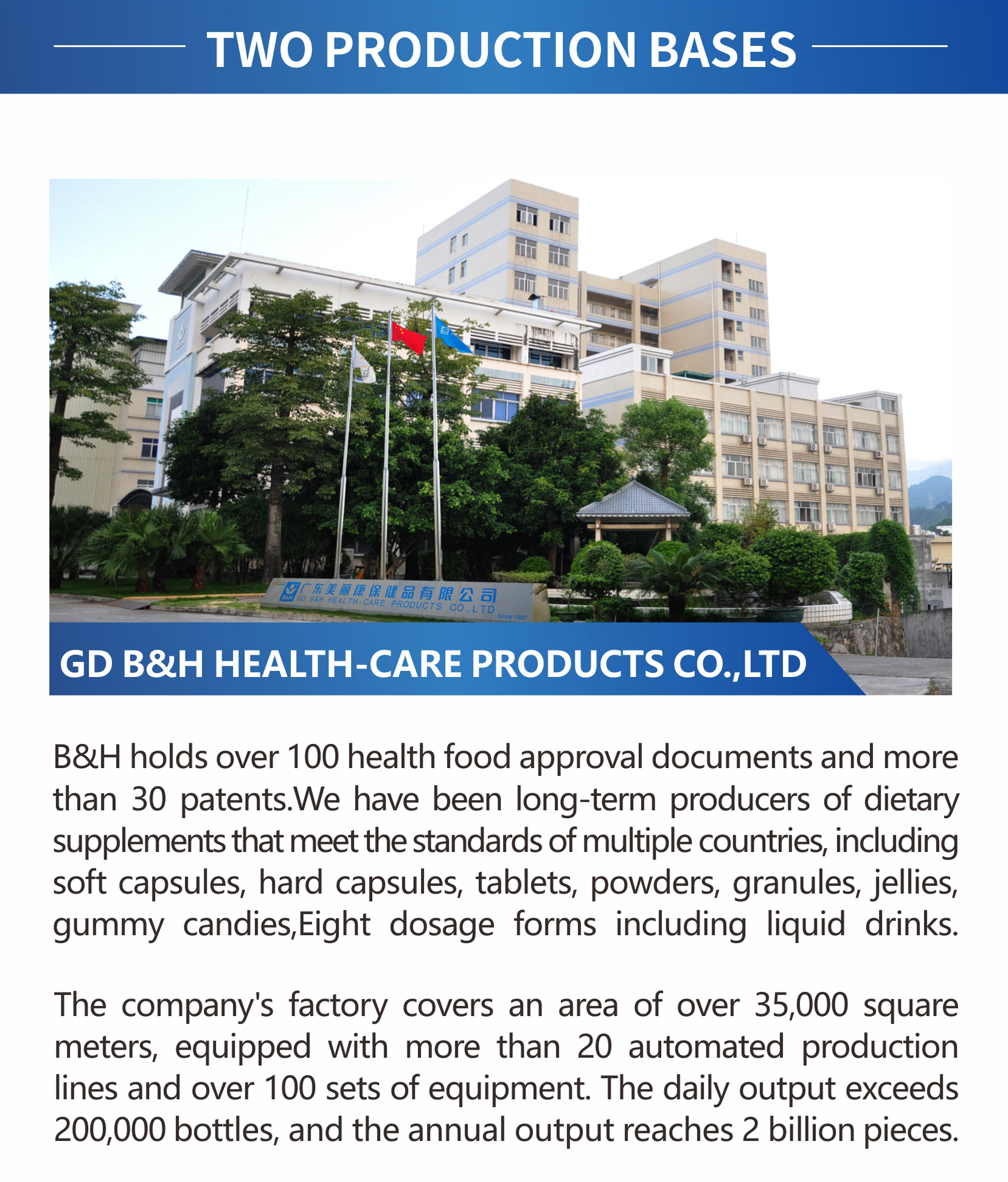 Company Details 1