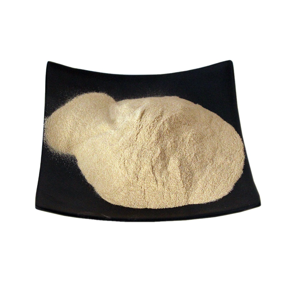 Yeast Extract Product Image 1