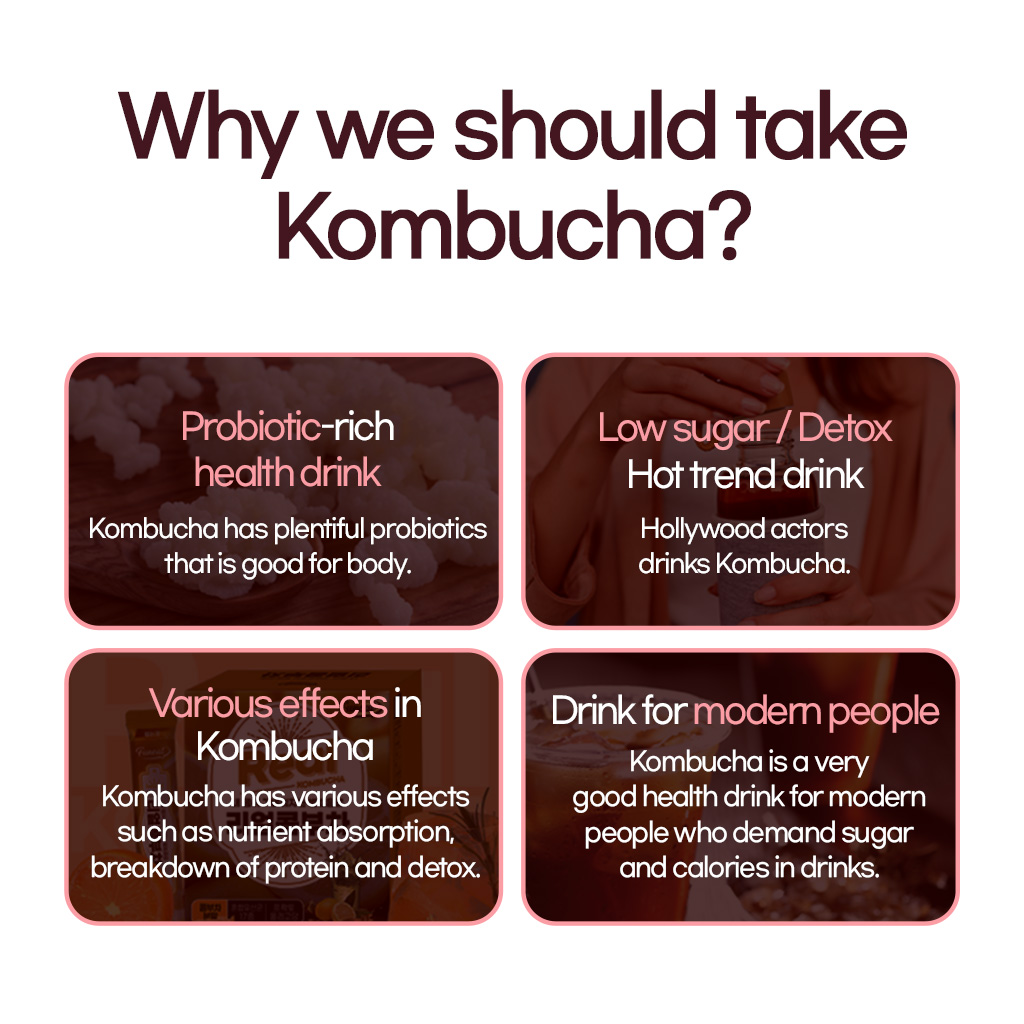 Funeat Real Kombucha Peach Description 3
