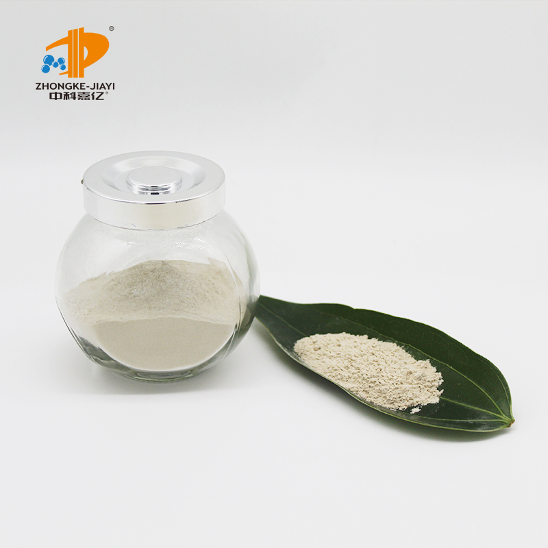 Lactobacillus Fermentum Food Ingredients From China Freeze-dried Probiotics Powder Original Manufacturer