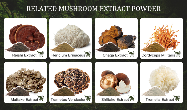 Mushroom Extracts Showcase