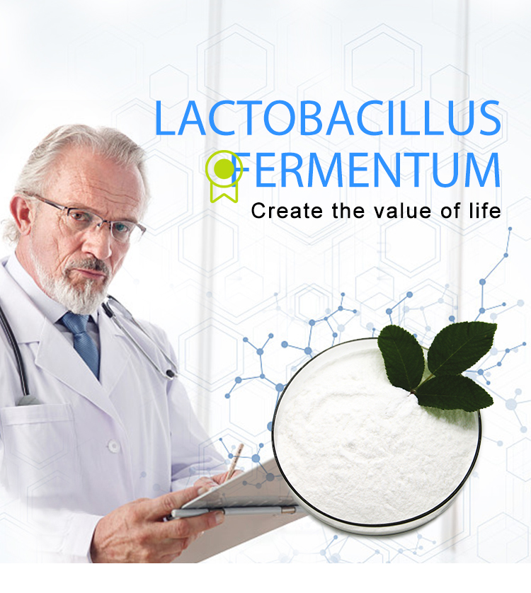 Lactobacillus Fermentum Food Ingredients From China Freeze-dried Probiotics Powder Original Manufacturer