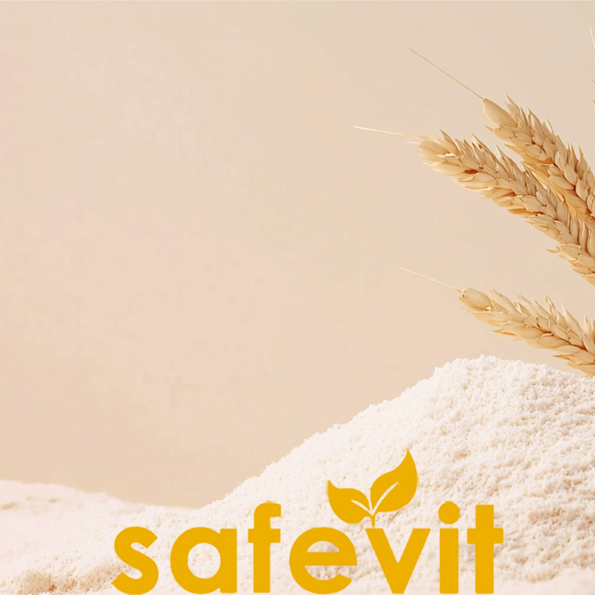 25kg Safevit Whey Protein Creatine - Quality Food Ingredients for You