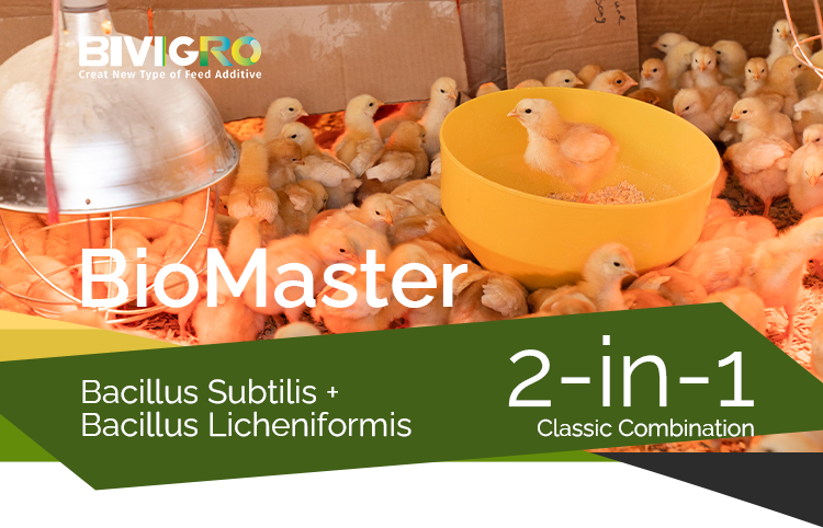 BioMaster Specifications