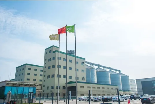 Original China Naturally Processed Soy Fibre - Non-GMO Quality Ingredients
