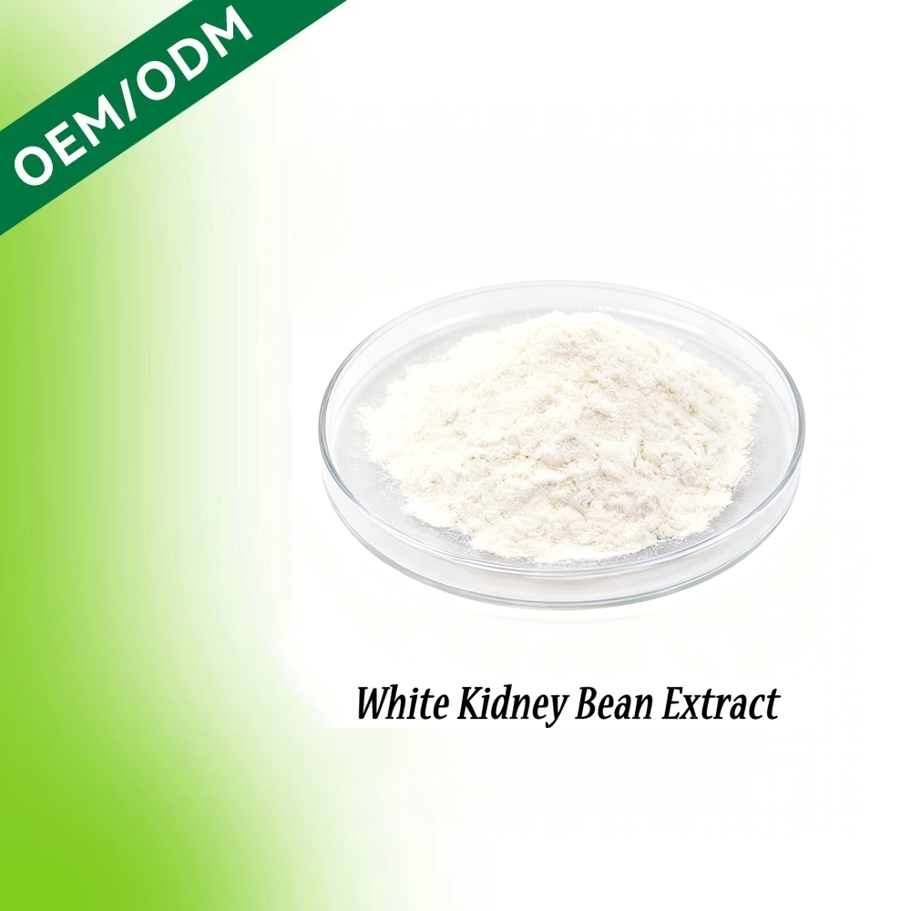 HDK White Kidney Bean Extract Phaseolus Vulgaris Carb Blocker Weight Management Plant Extract Powder Bulk OEM Ingredient
