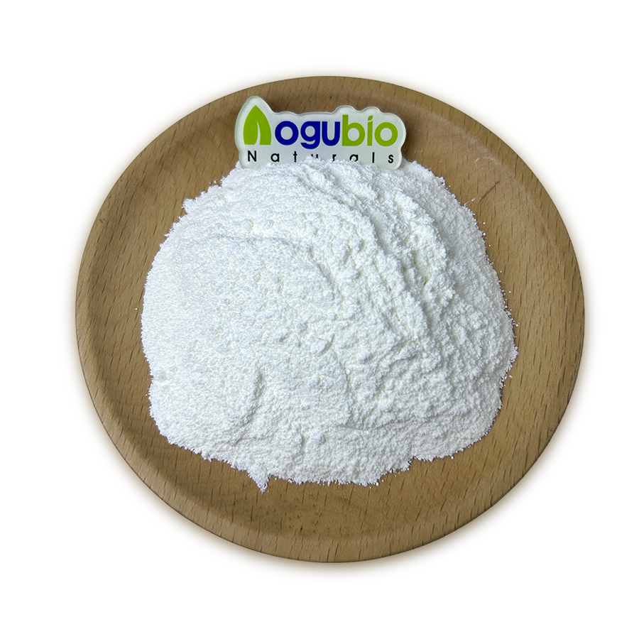 Lactococcus Lactis Food Ingredients From China Freeze-dried Probiotics Powder Original Manufacturer