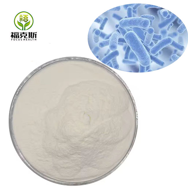 Lactobacillus Casei Spec