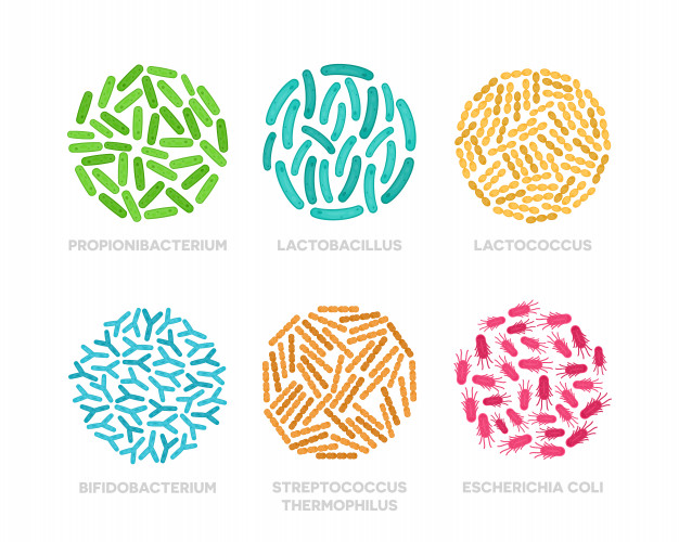 Quality Probiotics