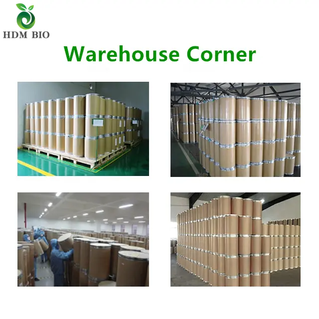 100% Pure Natural Organic Food Supplement Oyster Mushroom Extract Powder