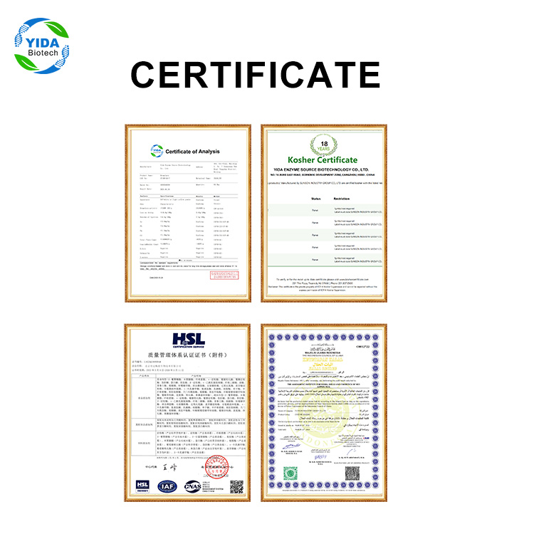 Beijing Yida Baking Xylanase Enzyme (Model F Xylanase) Food Processing Bakery Bread Improver Ingredients Dough
