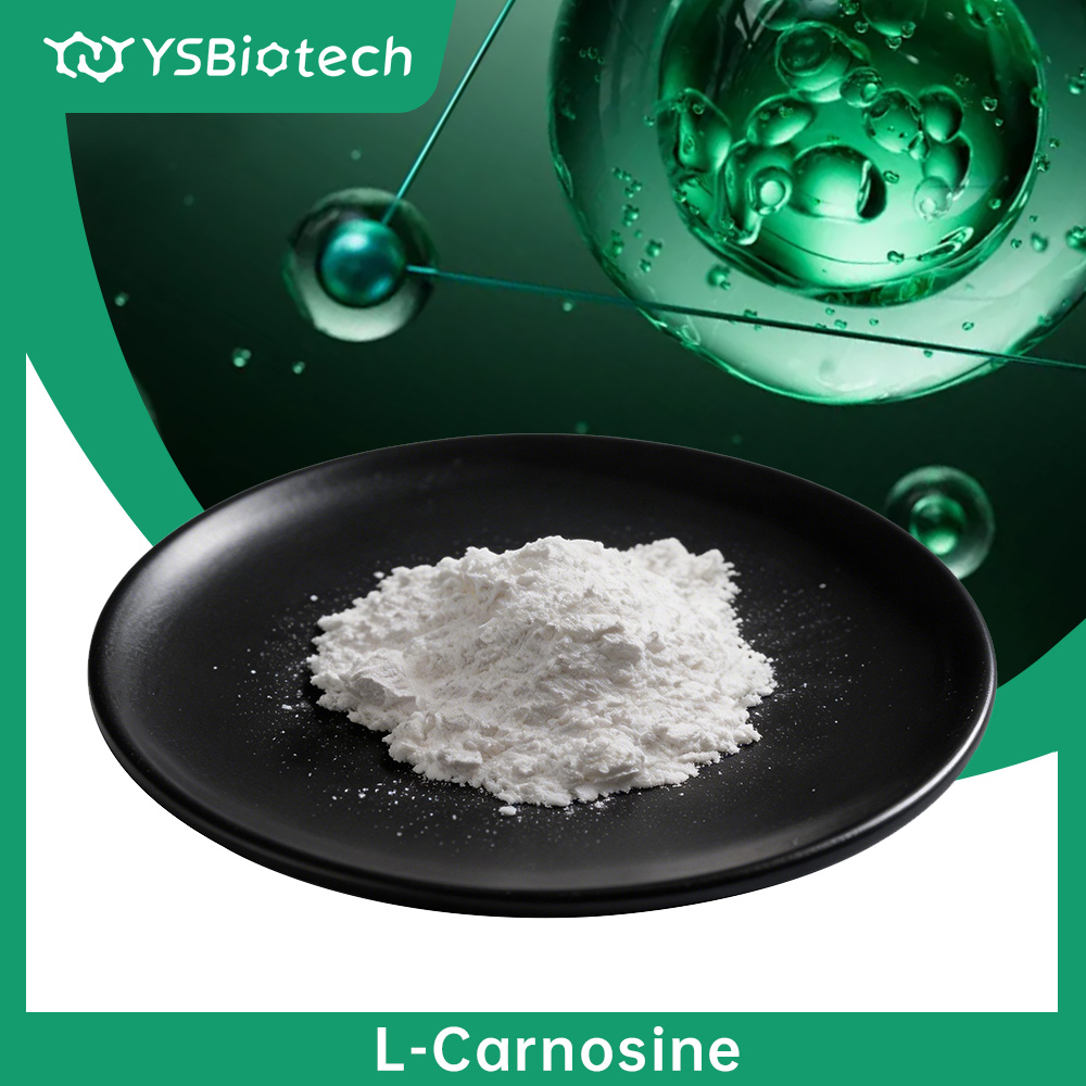 Natural Fermented L-Carnosine Powder Non-Synthetic | Bio-based Eco-friendly Anti-glycation Ingredient