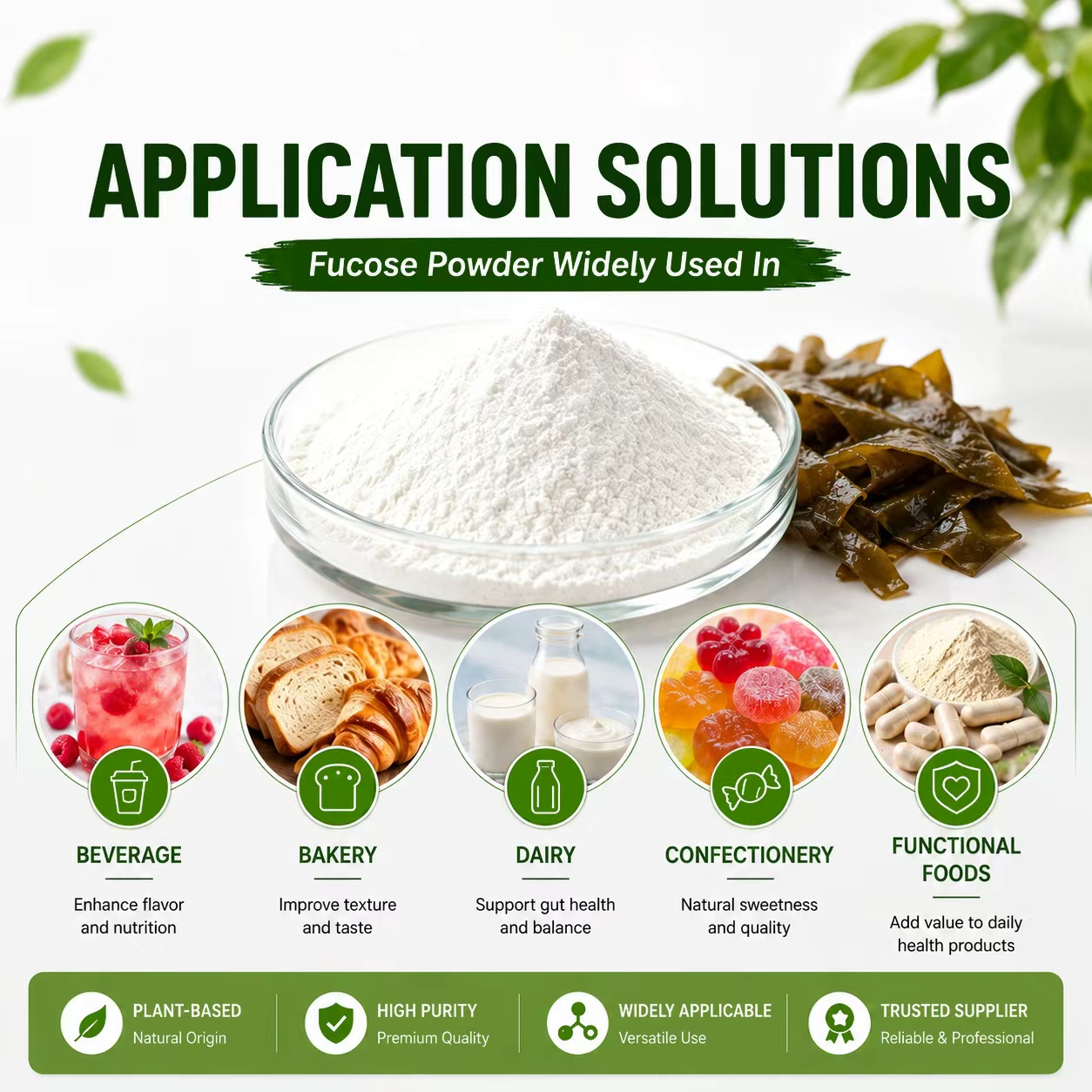 Factory Wholesale Pure L-Fucose CAS 2438-80-4 White Crystal Powder Prebiotic Ingredient for Infant Formula Functional Drinks