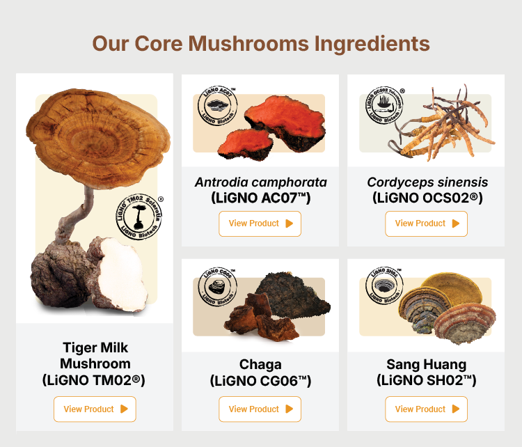 Mushroom Powder Range