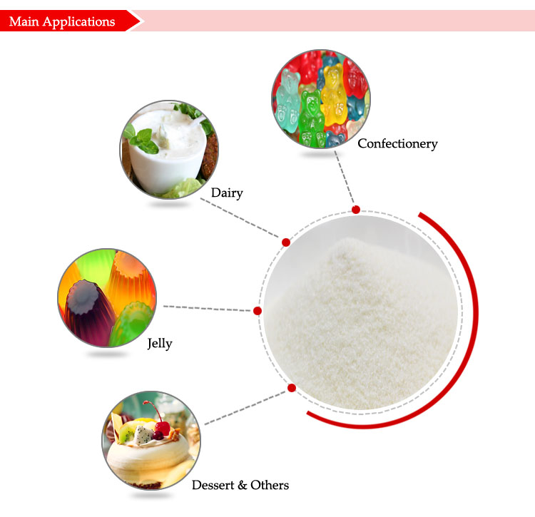 Filtergel Application