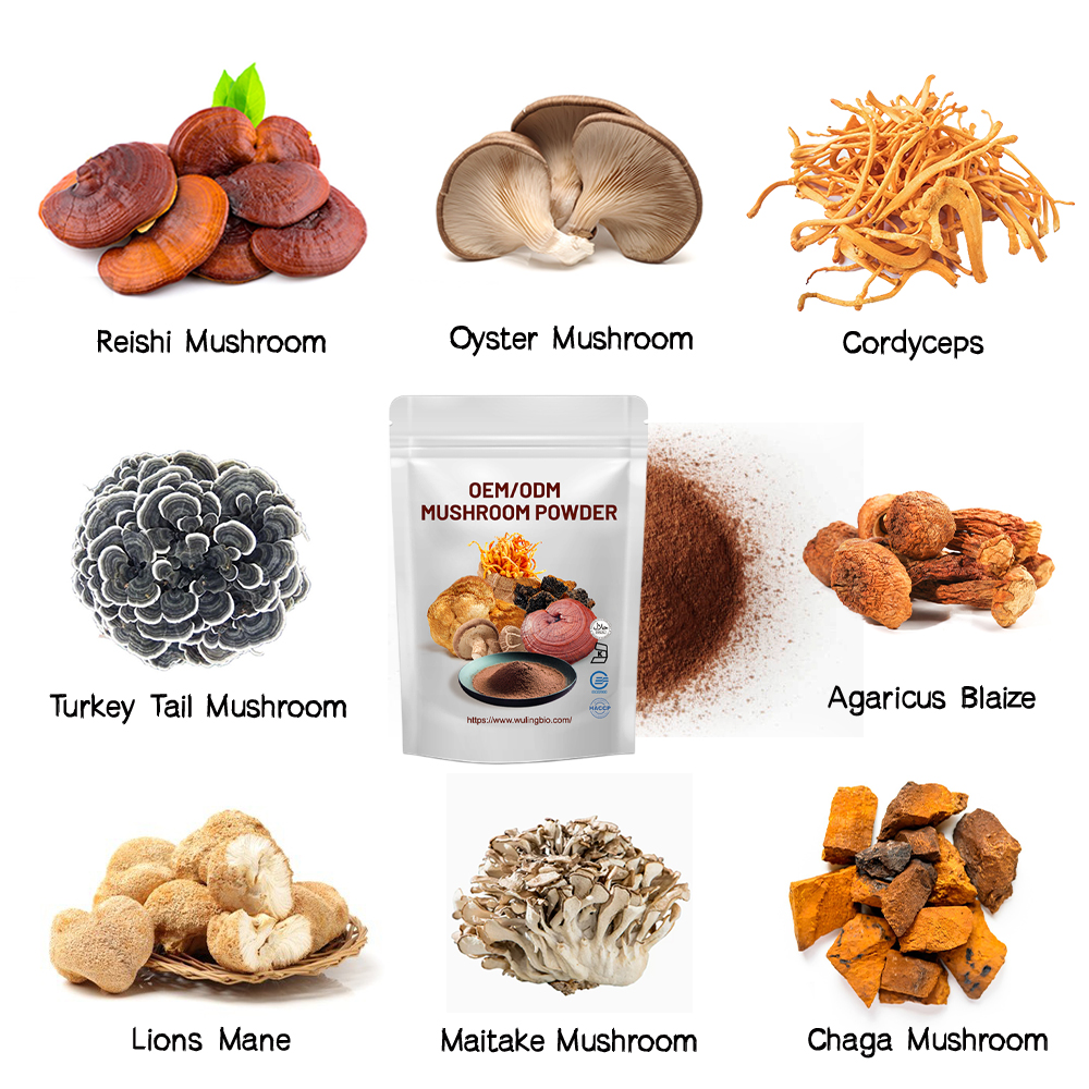 Lions Mane Blend Maitake, Chaga, Cordyceps, Ganoderma Reishi Mushroom Extract Powder Multi-Mushroom Formula Private Label