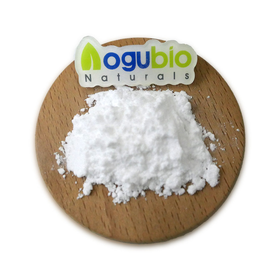 Lactococcus Lactis Food Ingredients From China Freeze-dried Probiotics Powder Original Manufacturer