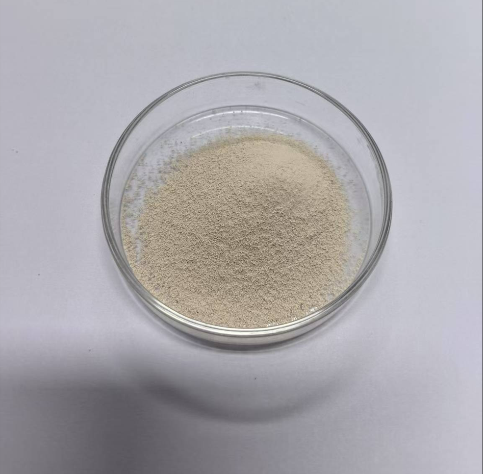 Factory Supply Heat Stable Saccharomyces Boulardii HS5 High Potency Probiotics Powder Raw Material At Good Price