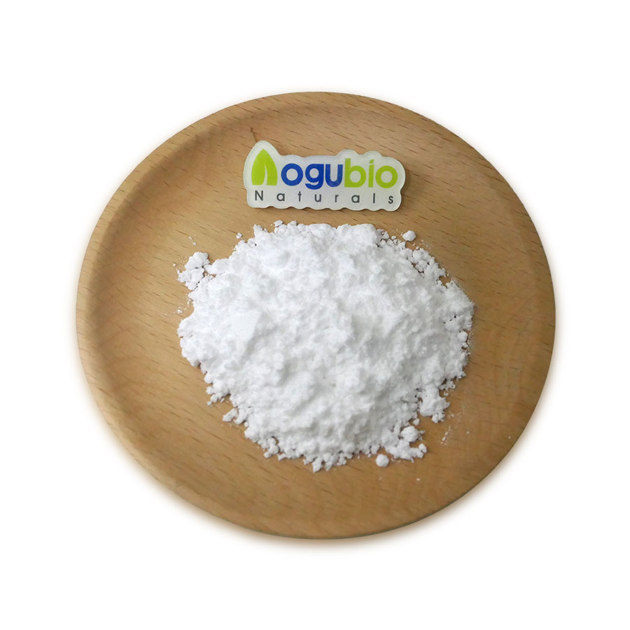 Lactococcus Lactis Food Ingredients From China Freeze-dried Probiotics Powder Original Manufacturer