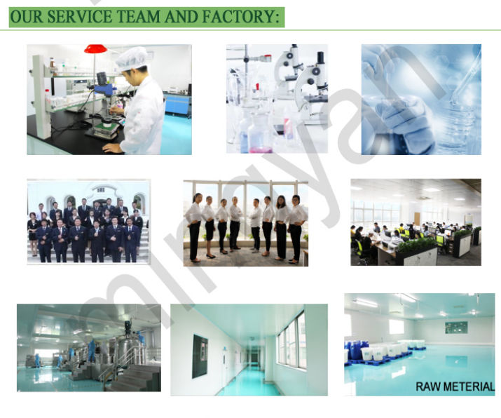 Company Facility Overview
