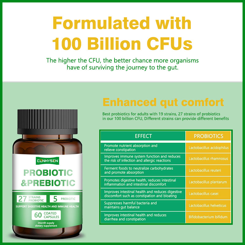 Custom Branded Probiotic Prebiotic Capsules Natural Ingredients Improve Digestive and Immune System Vitamin Supplement