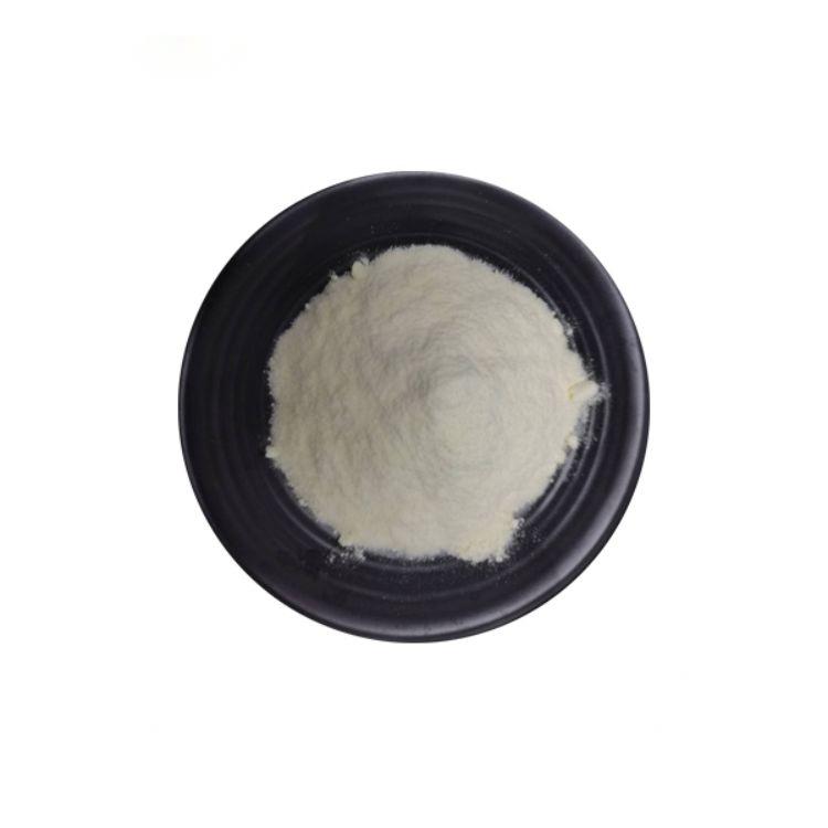 Lactobacillus Paracasei for Food Ingredients From China Factory Freeze-dried Probiotics Powder Original Manufacturer
