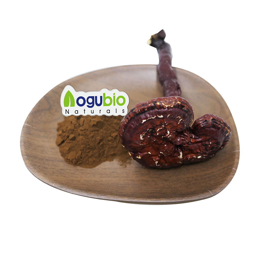 Private Label Reishi Mushroom Powder Purely Natural Reishi Mushroom Powder Capsules