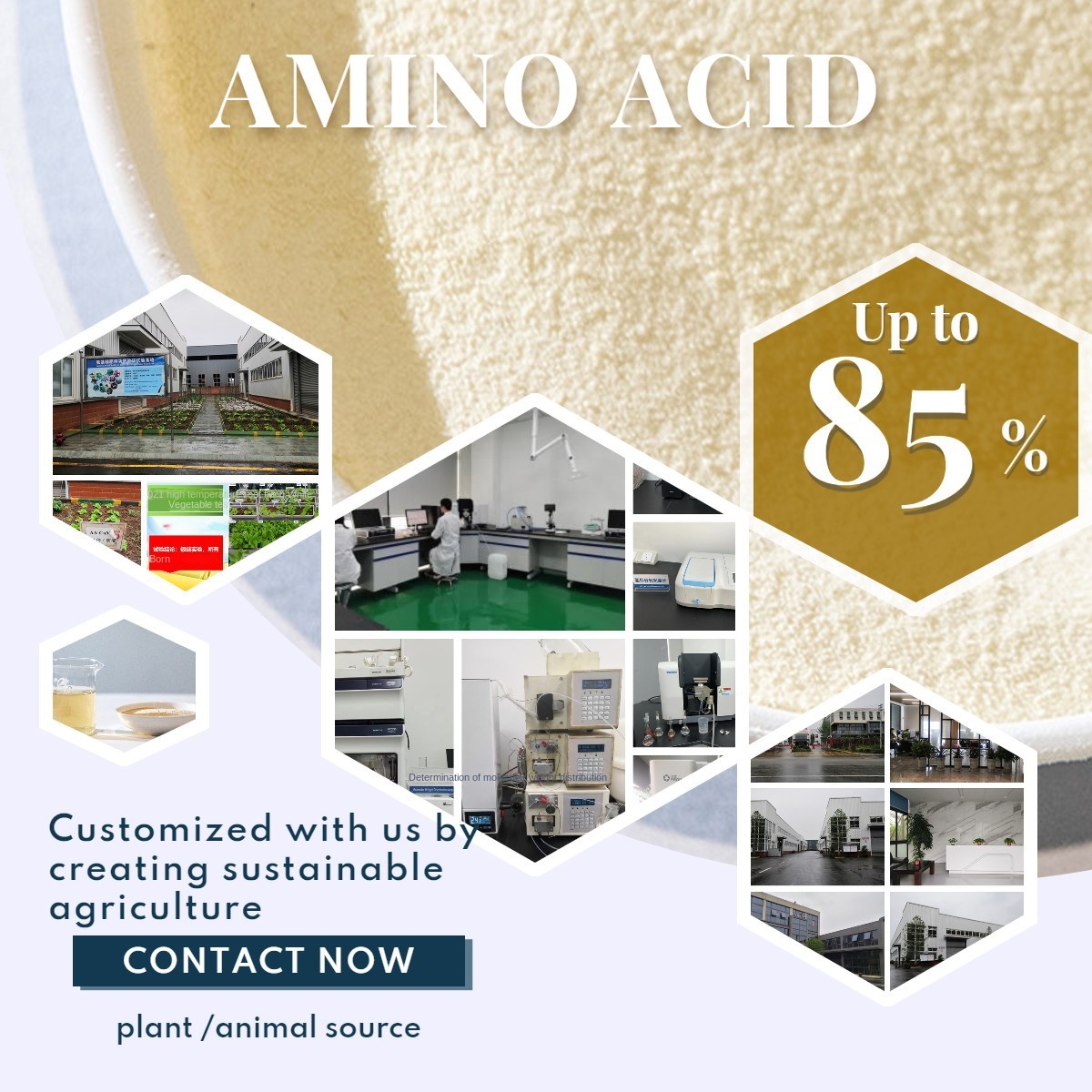 80% High Content Compound Amino Acid Powder Organic Fertilizer Raw Material | Chlorine-Free | Fully Soluble | No Sedimentation
